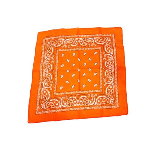 Orange Paisley Bandana 20x20in