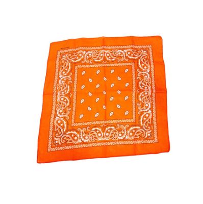 Orange Paisley Bandana 20x20in