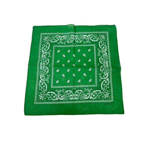 Green Paisley Bandana 20x20in