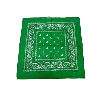 Green Paisley Bandana 20x20in