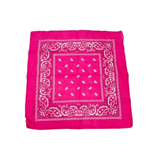 Pink Paisley Bandana 20x20in