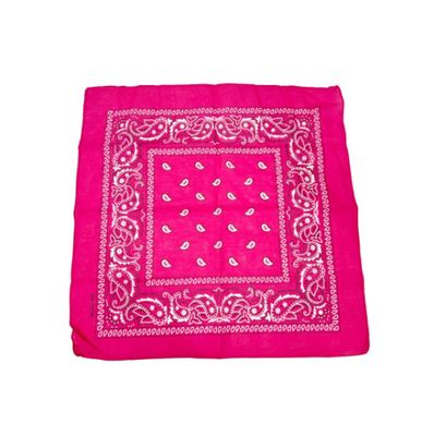 Pink Paisley Bandana 20x20in