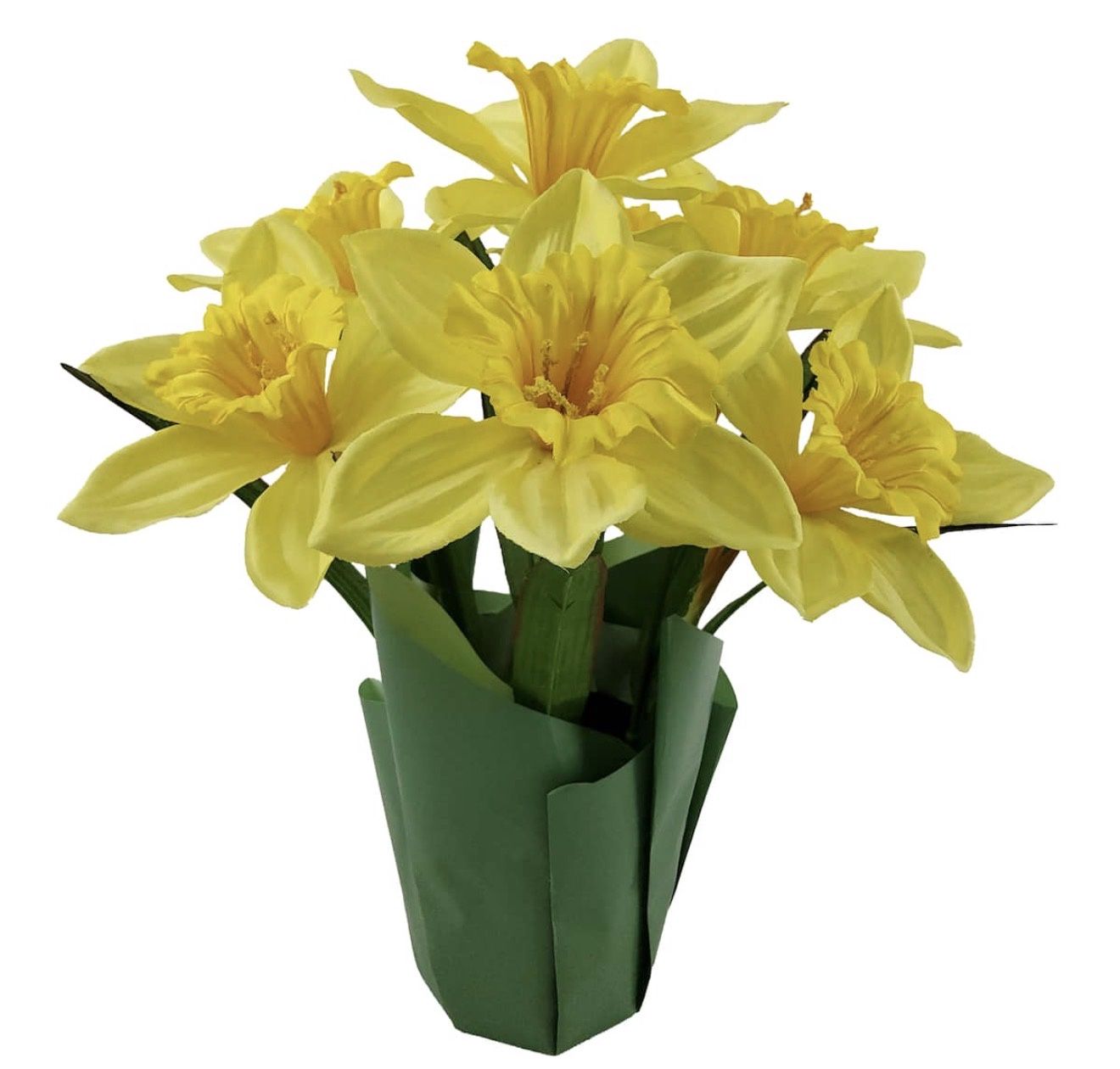 14" yellow potted daffodil by ashland