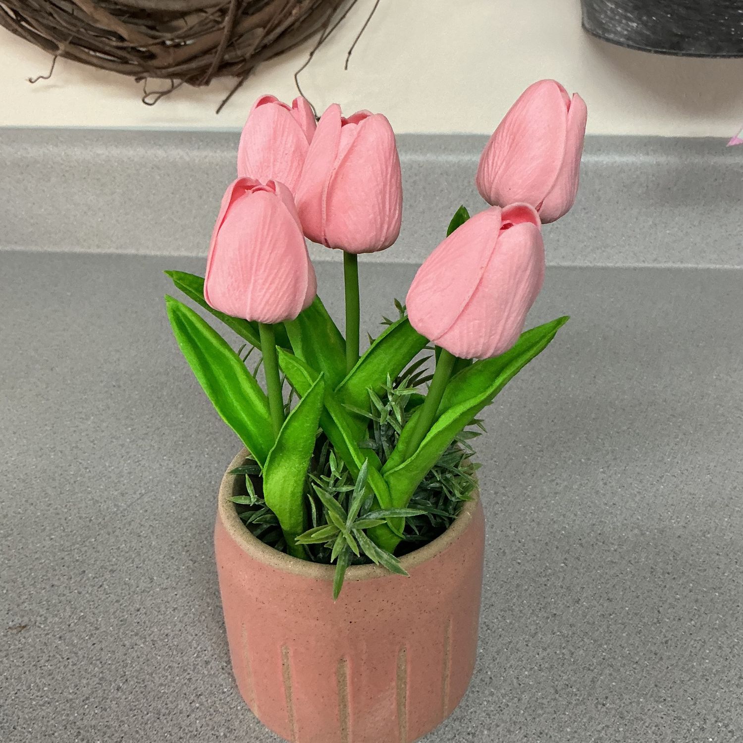 tulips in pink container