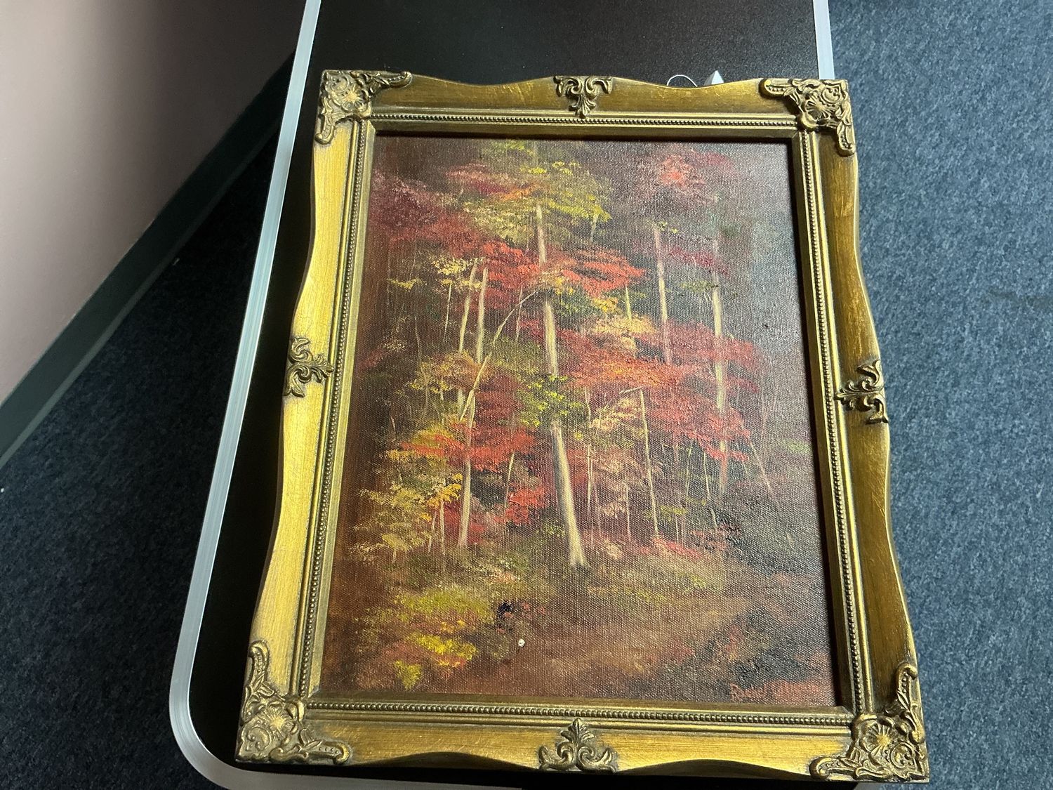 Fall forest picture
