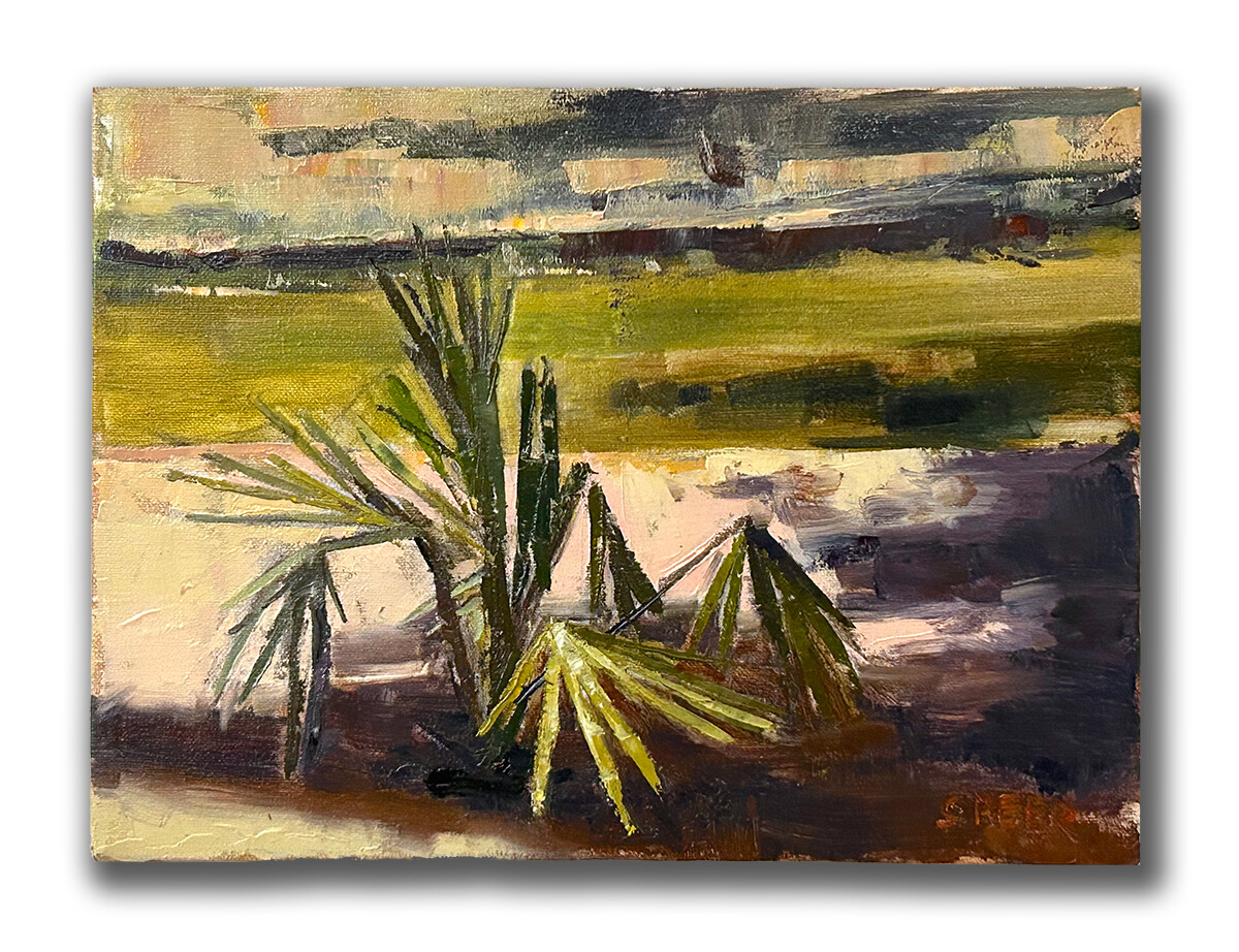 Palmettos at Girard Park