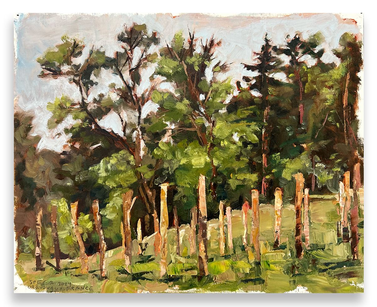 Château d&#39;Orquevaux Vineyard