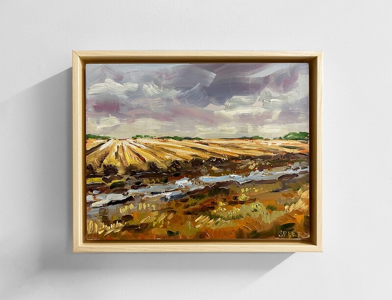 Cane Fields 8