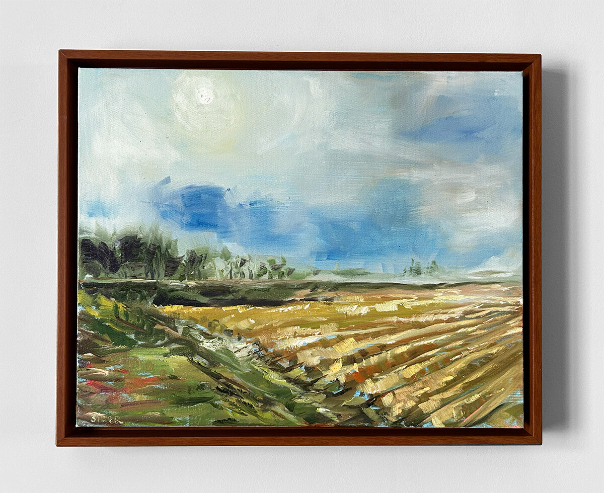 Cane Fields 10