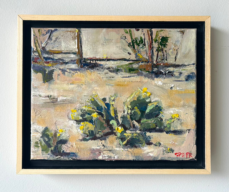 Cacti, Marfa, TX