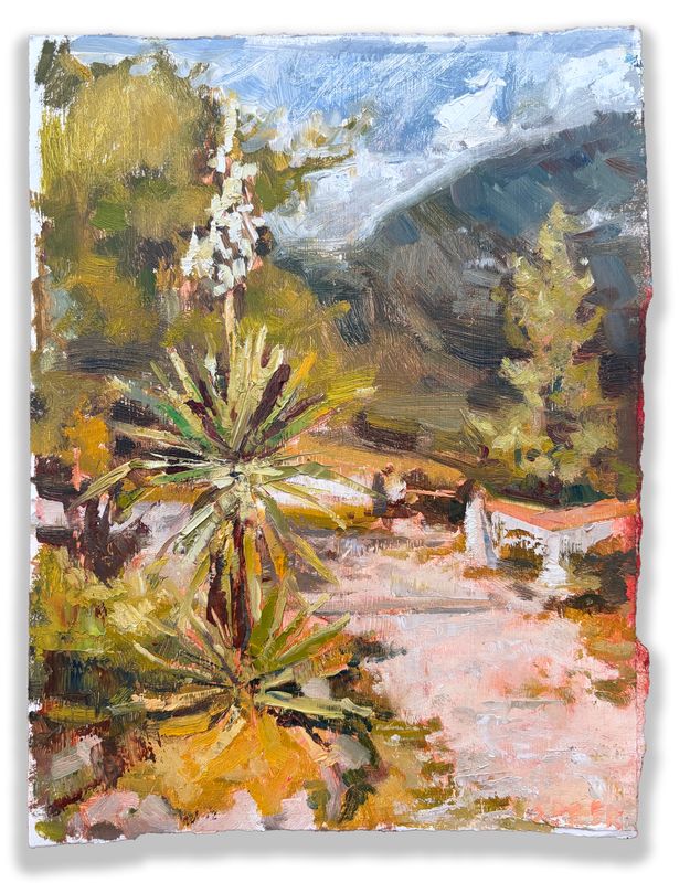 Flowering Palm, Chiesa San Pietro in Vincoli, Italy