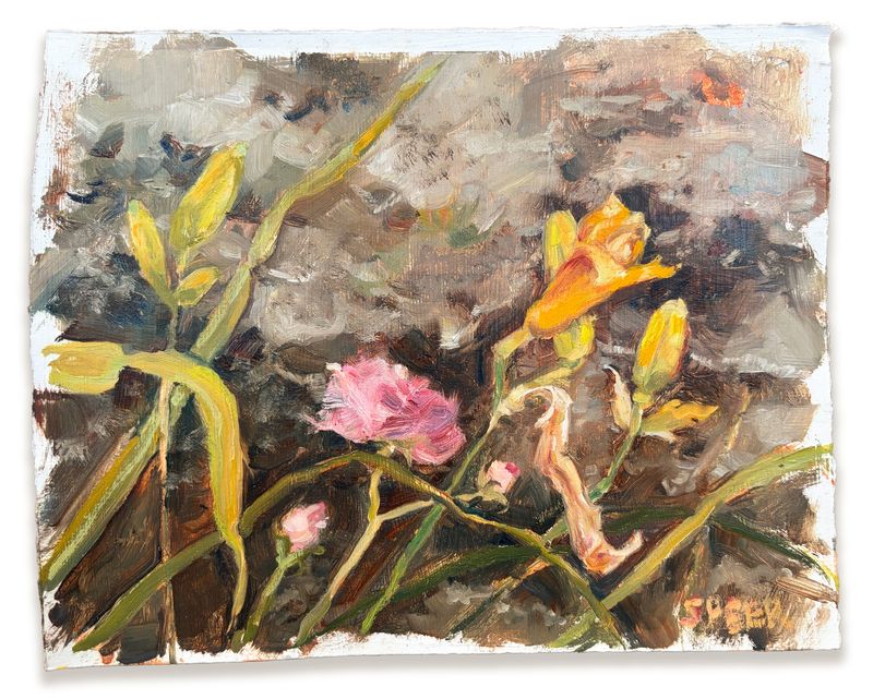 Wild Roses and Daylilies, Cividate Camuno, Italy
