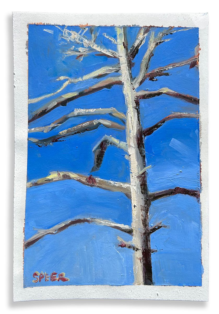Bleached Pine, Ruston, Louisiana