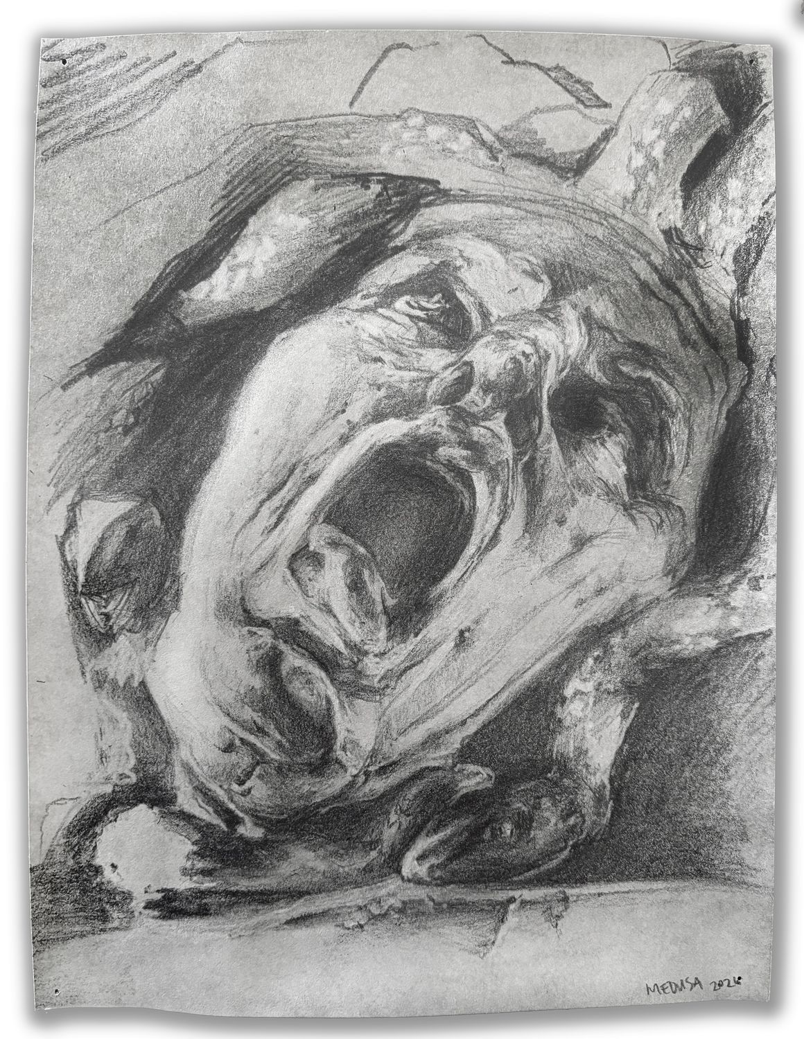 Study of the Head of Medusa (Palace of Versailles)