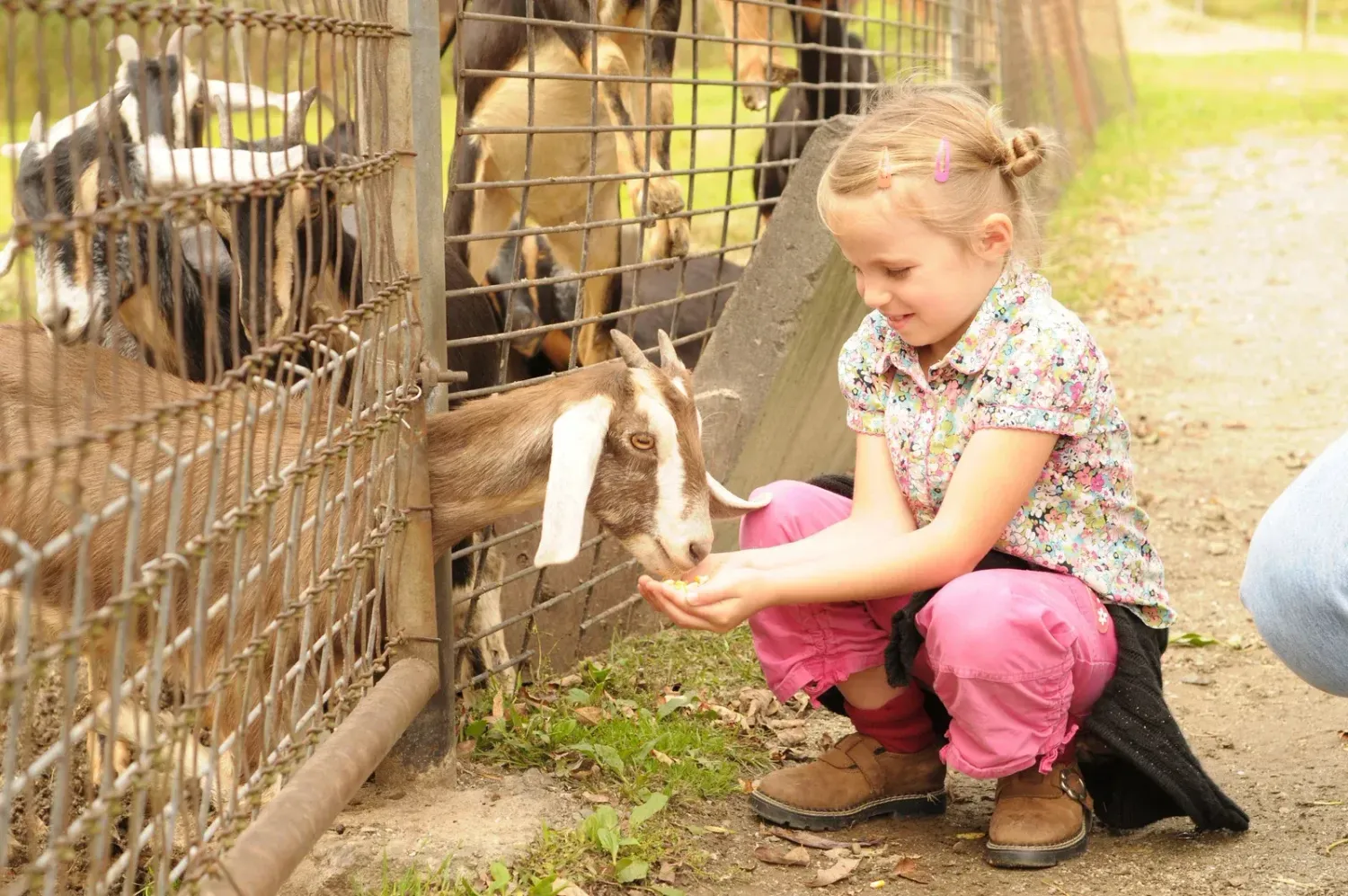 Ages 3-11 (General Admission)