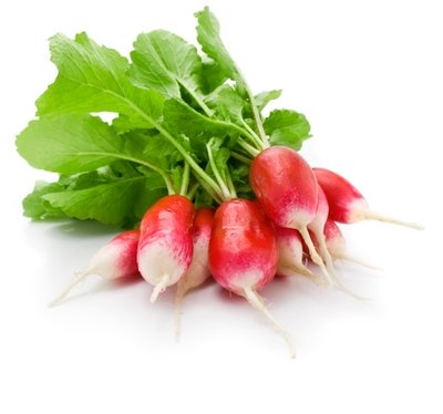 Radish