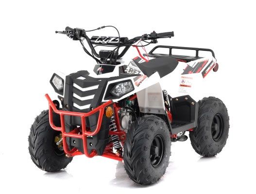 Mini Commander 110cc With Reverse