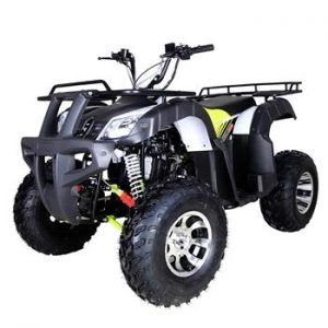 Bull 200S ATV Taotao