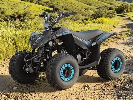 Icebear GRZ125-D Sport ATV EFI