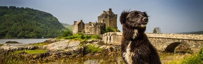 Tartan & Celtic