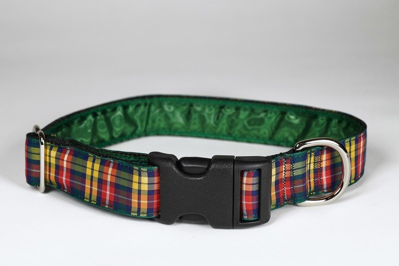 Collar - Tartan - 1 inch - Buchanan