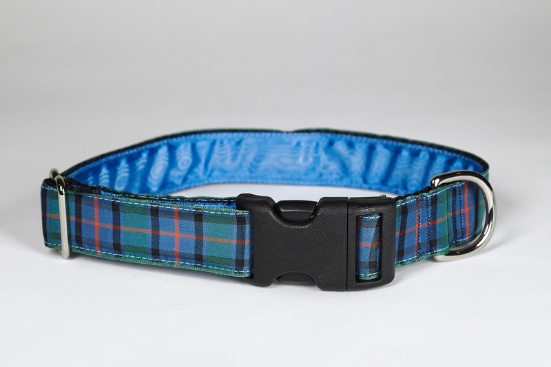 Collar - Tartan - 1 inch - Flower of Scotland