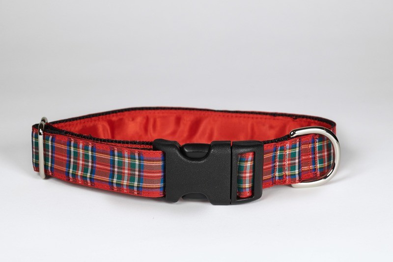 Collar - Tartan - 1 inch - Royal Stewart