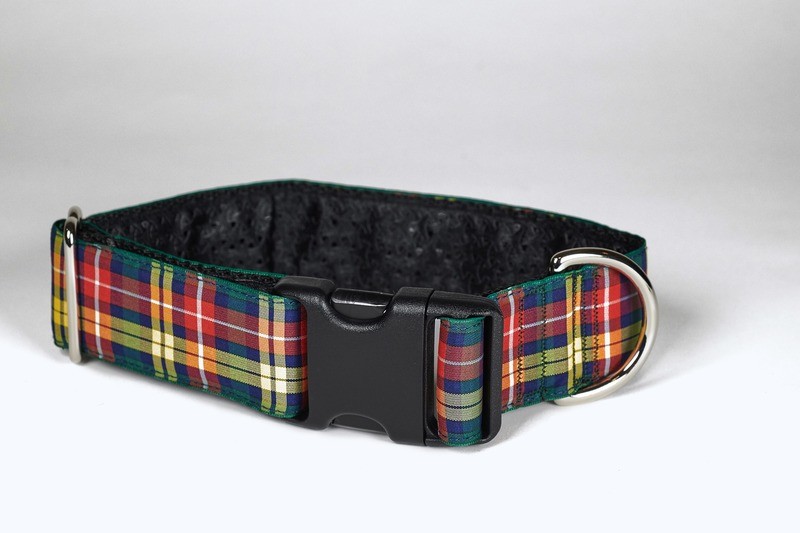 Collar - Tartan - 1-1/2 inch - Buchanan