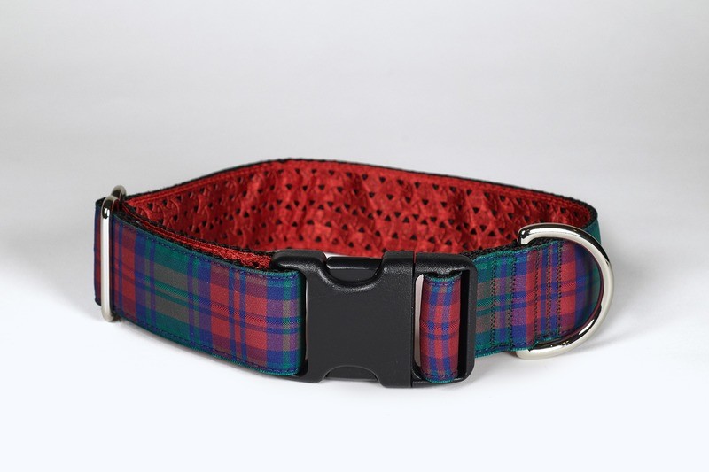 Collar - Tartan - 1-1/2 inch - Lindsay