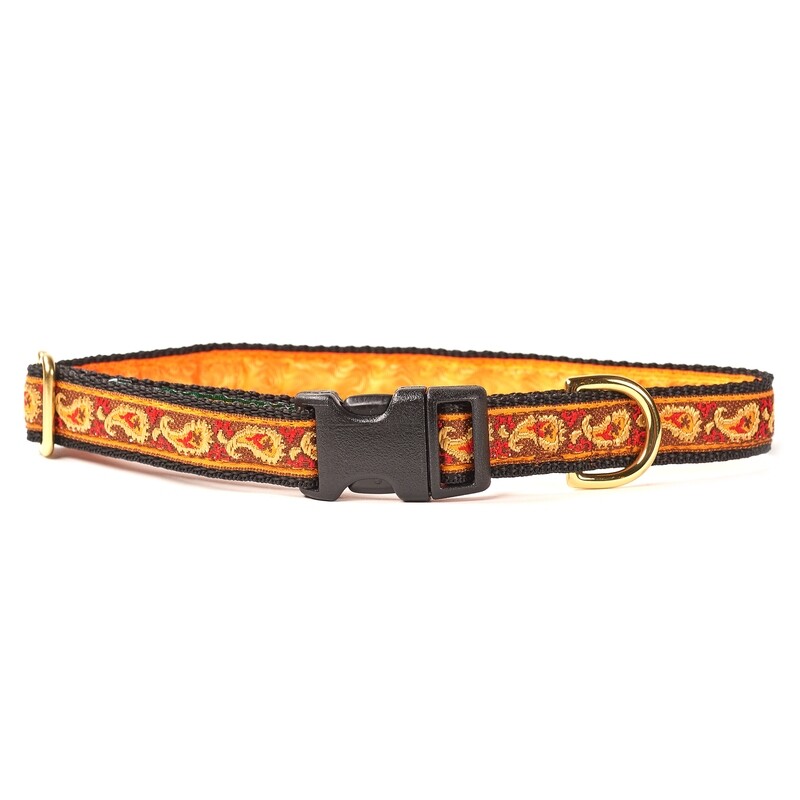 Collar - Designer - 3/4 inch - Orange Paisley