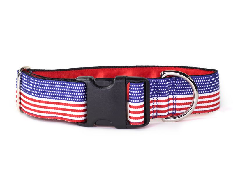 Collar - Designer - 1-1/2 inch - American Horizontal - (red/white/blue)