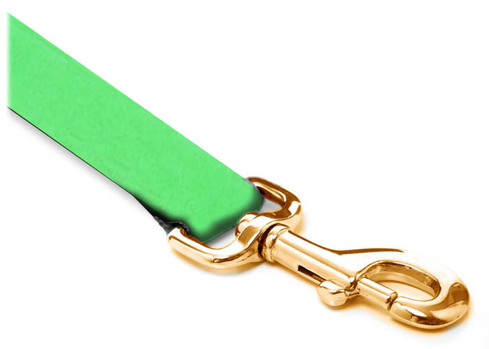 Leash - Velvet - 3/4-inch - Light Green