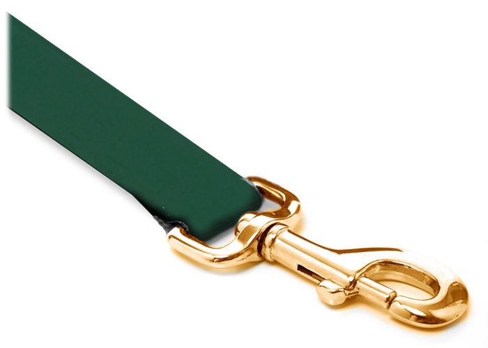 Leash - Velvet - 3/4-inch - Dark Green