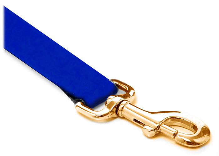 Leash - Velvet - 3/4-inch - Royal Blue