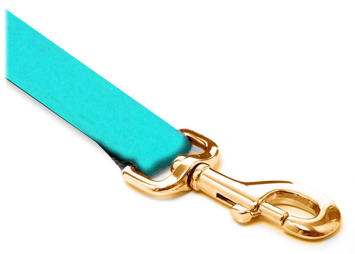 Leash - Velvet - 3/4-inch - Turquoise