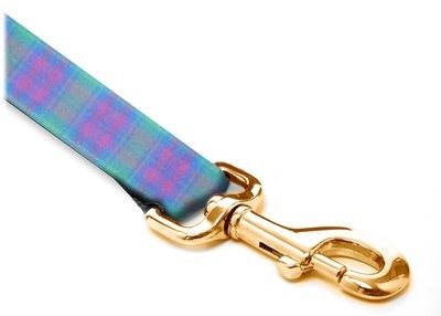 Leash - Tartan - 1-inch - Lindsay