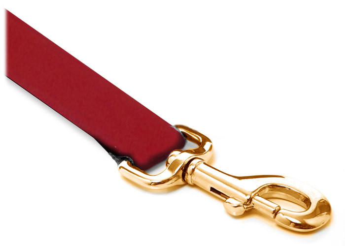 Leash - Velvet - 1-inch - Dark Red