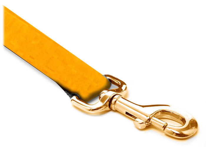 Leash - Velvet - 1-inch - Orange