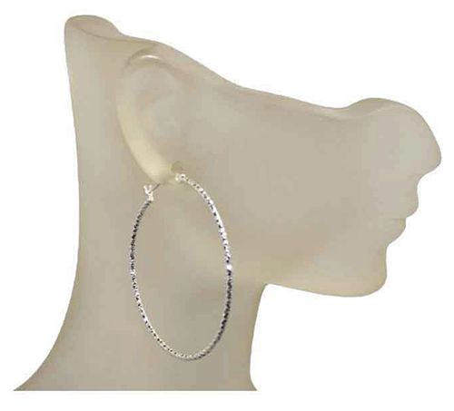 Petite S-Swirl Sterling Silver Earrings Petite S-Swirl Sterling Silver Earrings