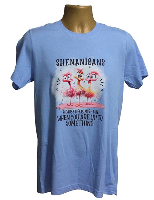 Shenanigans Graphic Tee