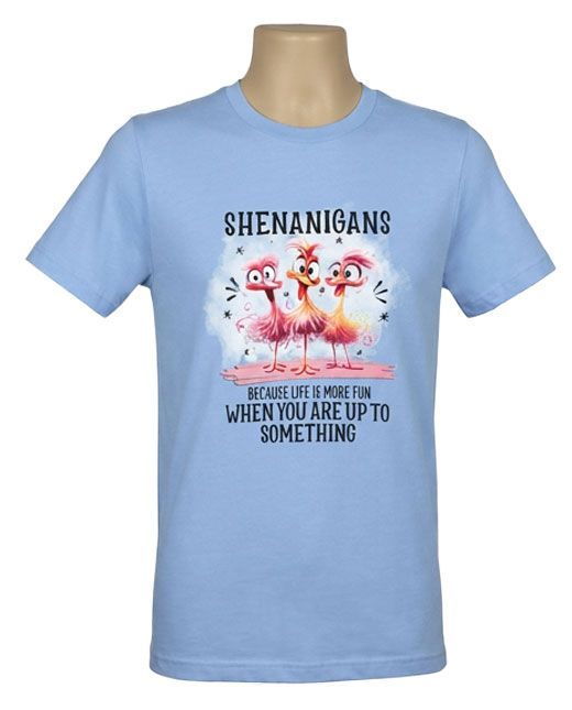 Shenanigans Graphic Tee Shenanigans Graphic Tee