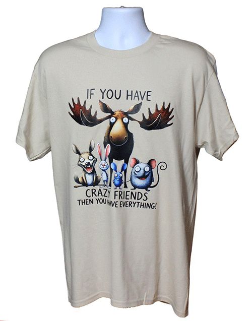 If You Have Friends Graphic Tee