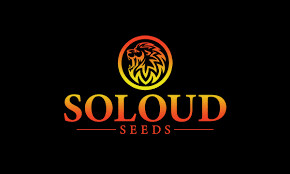 SoLoud