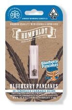 BLUEBERRY PANCAKES (Fem) 10 Seeds