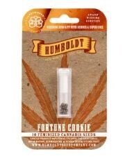 FORTUNE COOKIE (Fem) 10 Seeds