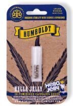 HELLA JELLY (Fem) 5 Seeds