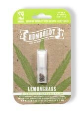 LEMONGRASS (Fem) 10 Seeds