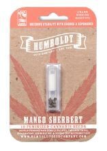 MANGO SHERBERT (Fem) 10 Seeds