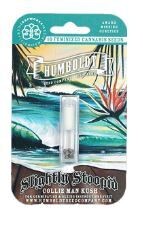 SLIGHTLY STOOPID (Fem) 10 Seeds