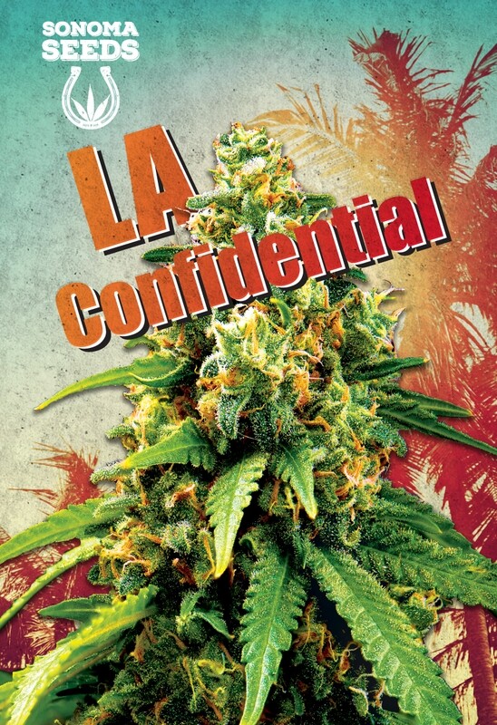 LA Confidential ( Fem ) 5 Seeds